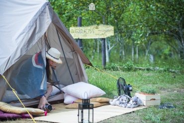 The-Rabbit-Burrow - The-Rabbit-Burrow-12